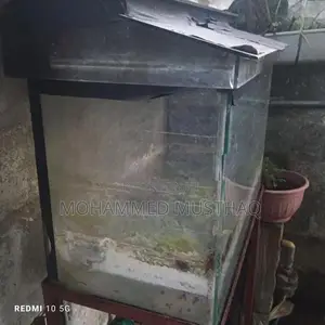 Fish Tank