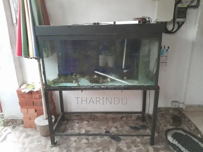Fish Tank with Stand 4ft