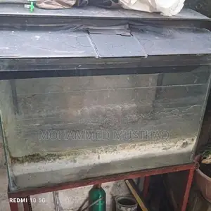 Fish Tank