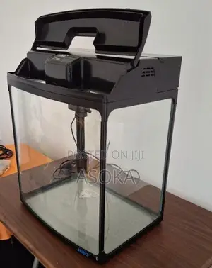 Fish Tank