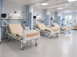 Two Function Hospital Bed With Mattress