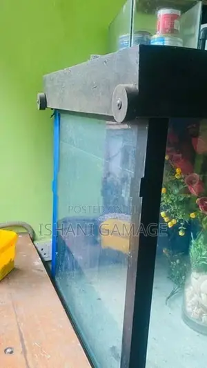 විශාල වීදුරු මාලු ටැංකි