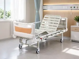 Two Function Hospital Bed With Mattress