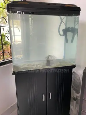 Fish Tanks