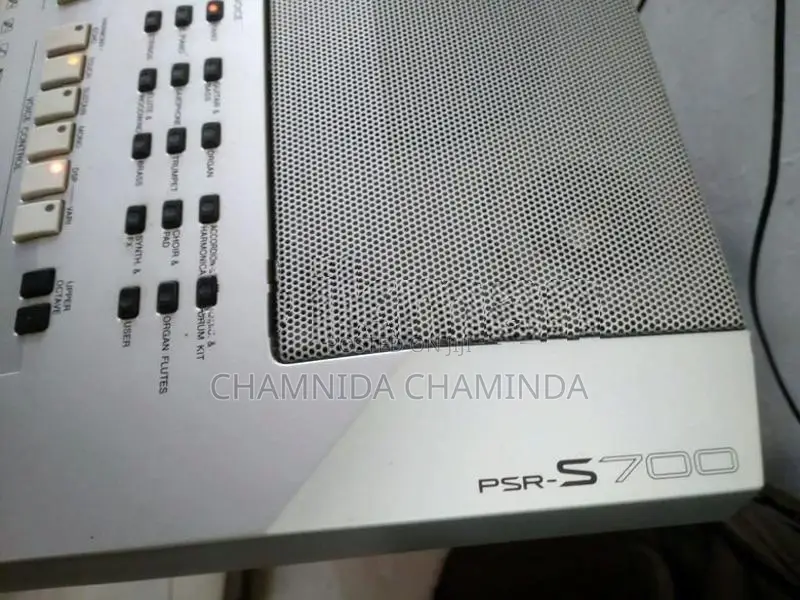 PSR S700