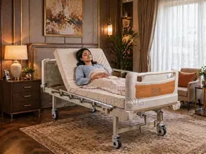 Two Function Hospital Bed With Mattress