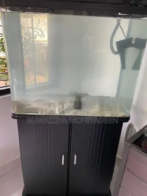 Fish Tanks