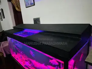 4 Feet Fish Tank