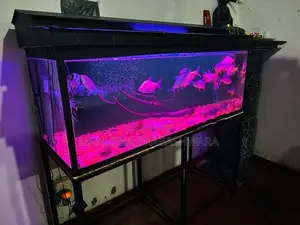 4 Feet Fish Tank