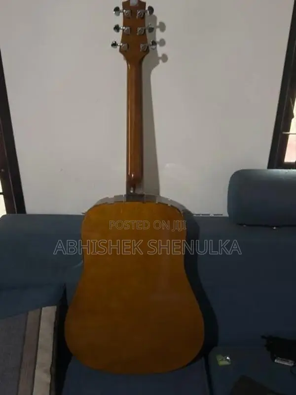 Guitar