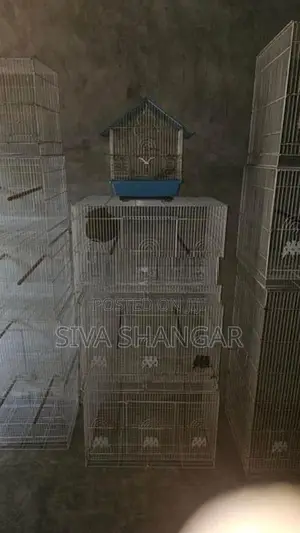 Birds Cage