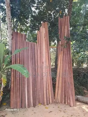 පොළ් ලී