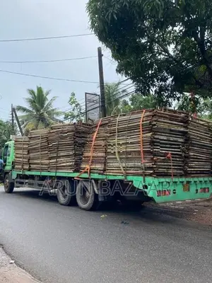 Scaffolding