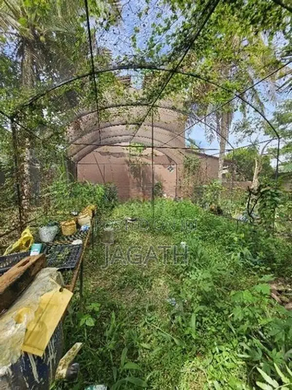 Green House 20 × 30 ft