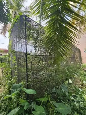 Green House 20 × 30 ft