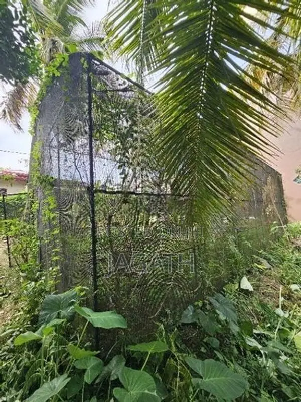 Green House 20 × 30 ft