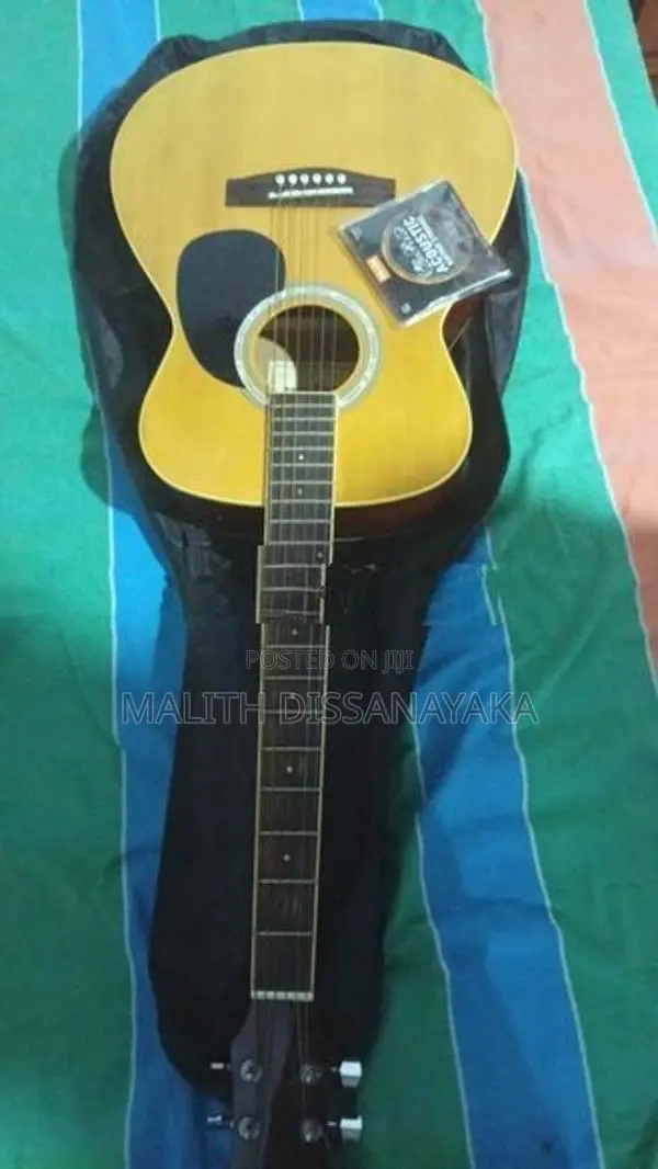 Guitar