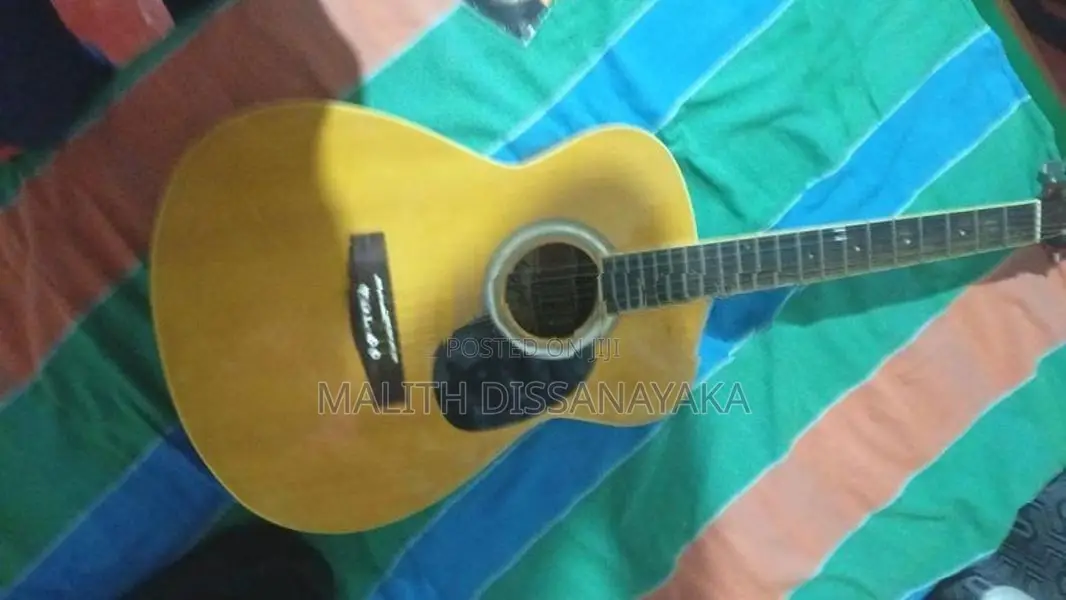 Guitar