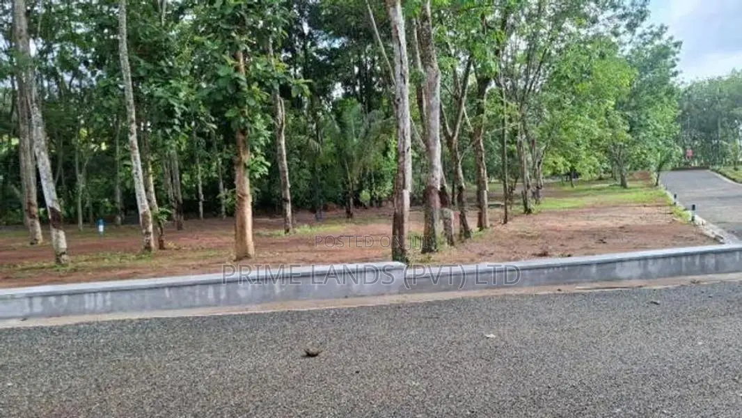 දිවුලපිටිය නගරයෙන් බිම් කොටස්