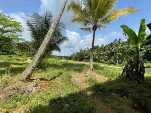 House with Land for Sale Matale