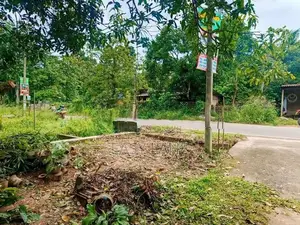 ගම්පහ දිවුලපිටිය ප්‍රධාන බස් පාරට මායිම් ඉඩමක්