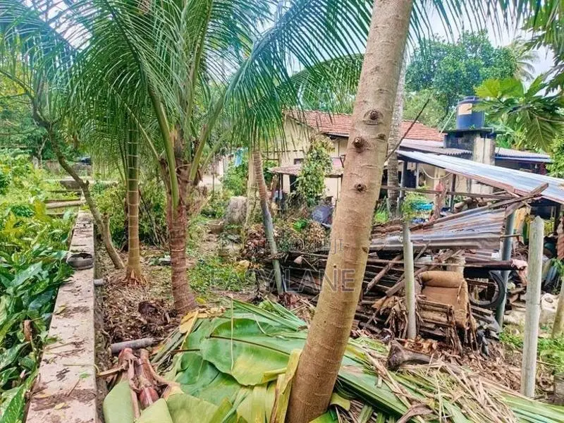 ගම්පහ දිවුලපිටිය ප්‍රධාන බස් පාරට මායිම් ඉඩමක්