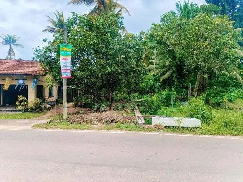ගම්පහ දිවුලපිටිය ප්‍රධාන බස් පාරට මායිම් ඉඩමක්