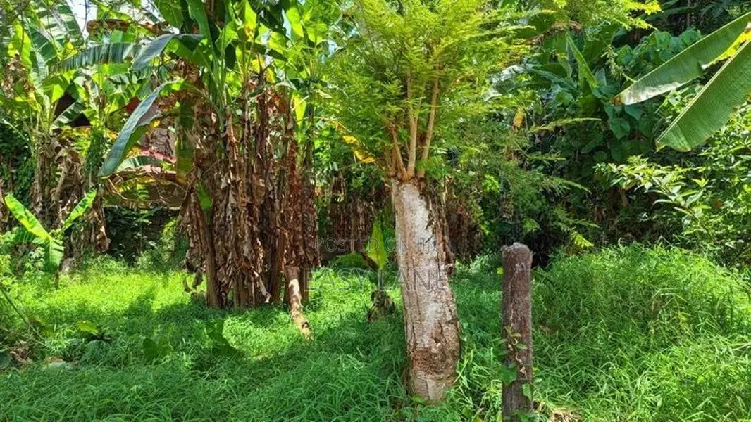 නිට්ටඹුව – මඩුවෙගෙදර වටිනා බිම් කොටසක්