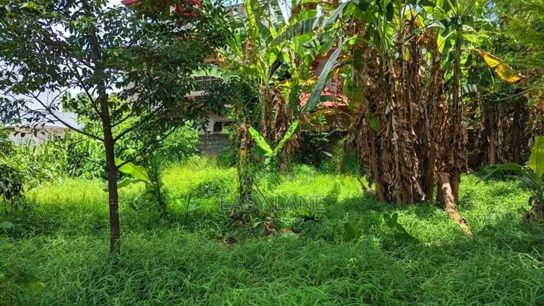 නිට්ටඹුව – මඩුවෙගෙදර වටිනා බිම් කොටසක්