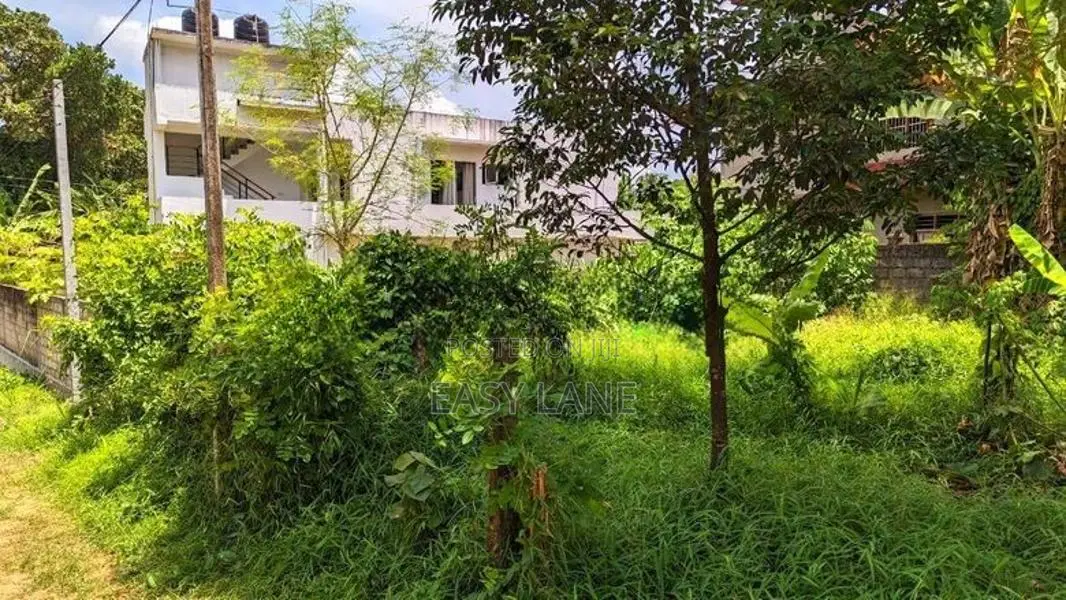 නිට්ටඹුව – මඩුවෙගෙදර වටිනා බිම් කොටසක්
