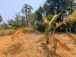 බාදුරාගොඩ – මීරිගම/මීගමුව පාරට ආසන්න ඉඩමක් විකිණීමට