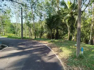 හෝමාගම හොරගල බස් පාරෙන් බිම් කොටස් විකිණීමට