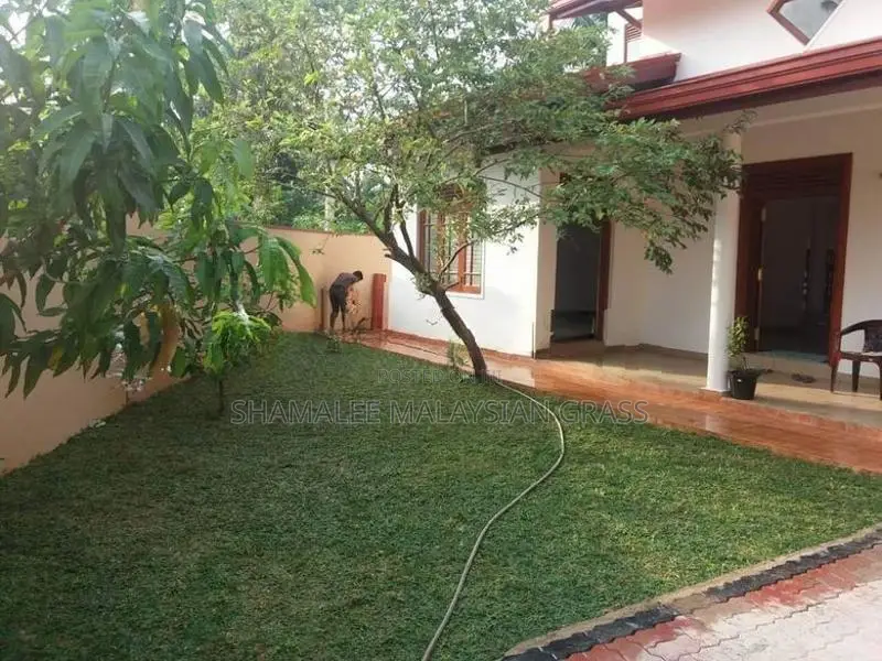 Malaysian Grass With Interlock Paving