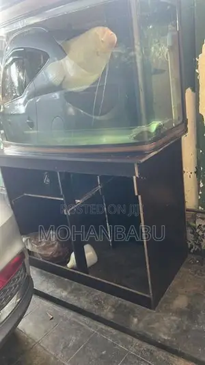 3.5feet Fish Tank