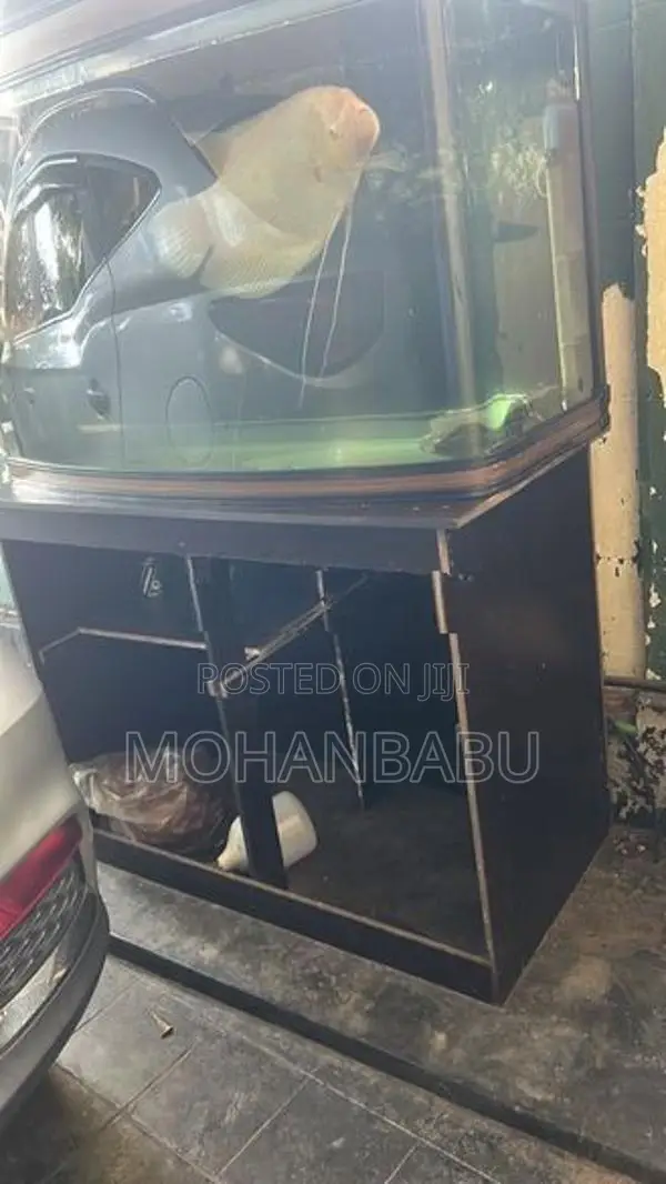 3.5feet Fish Tank