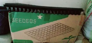 Seed trays