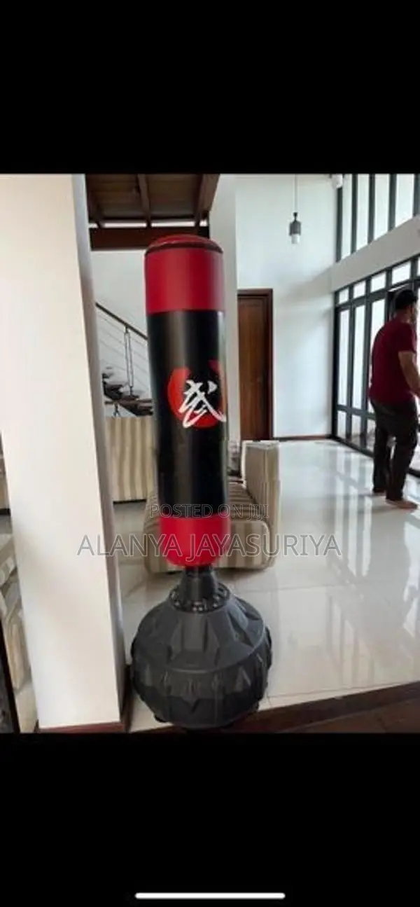 punching bag ( barely used )