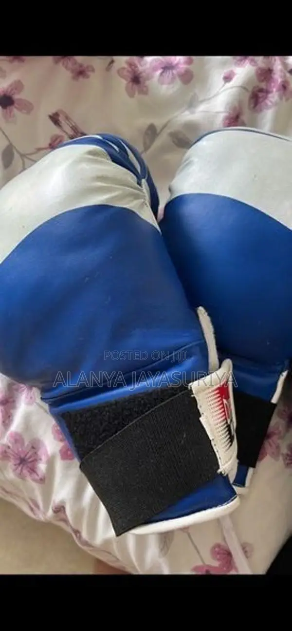 boxing gloves ( barely used)