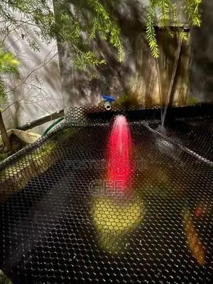 garden water fountain ( decoration )
