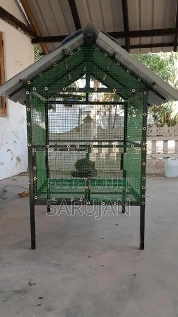 Birds Cage