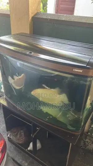 3.5feet Fish Tank