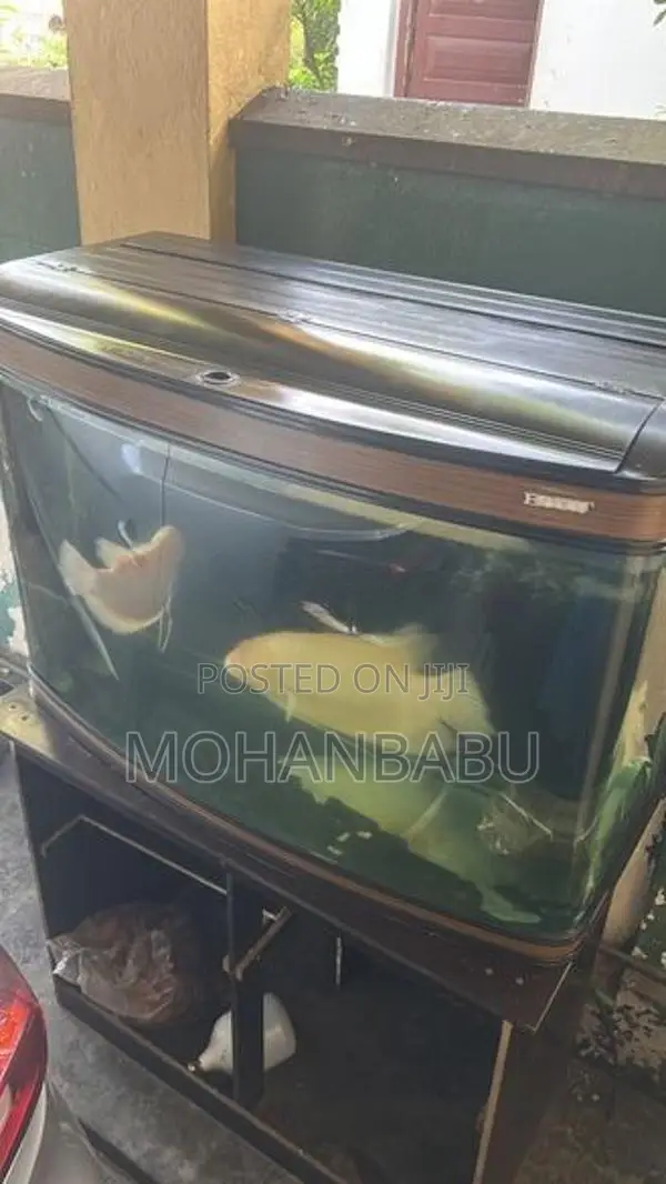 3.5feet Fish Tank