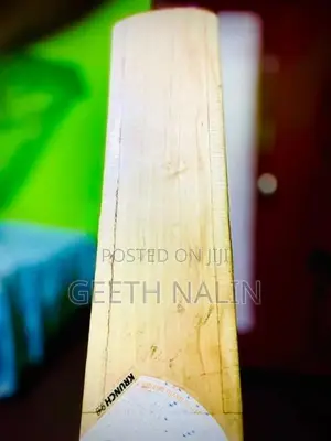 DSC Cricket Bat