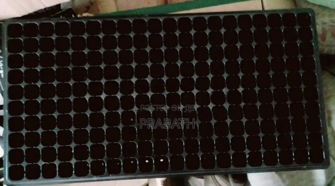 Seed trays
