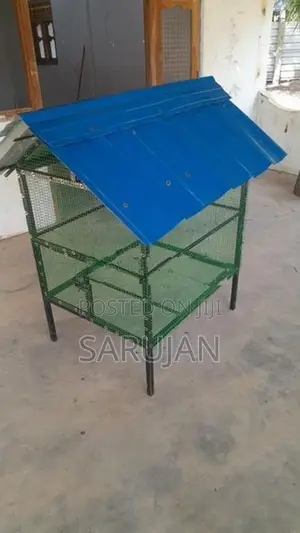 Birds Cage