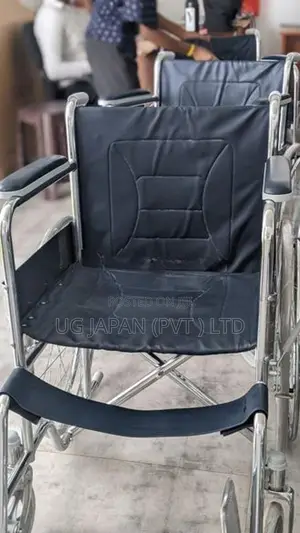Basic Wheelchair / Wheel Chair රෝද පුටුව