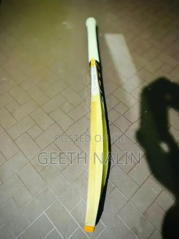 DSC Cricket Bat
