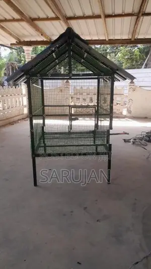 Birds Cage