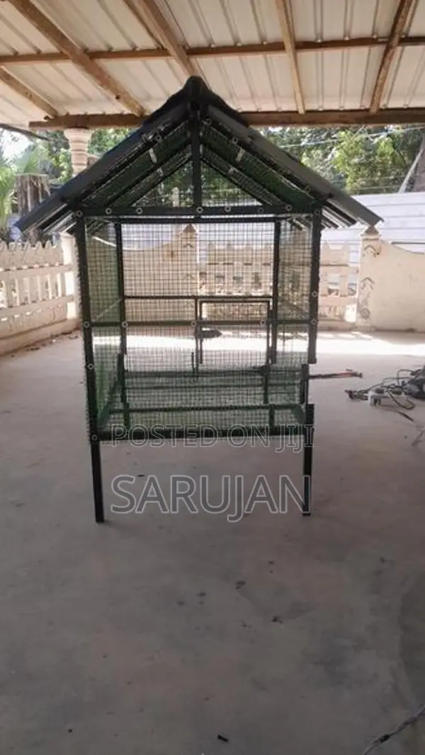 Birds Cage