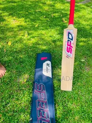 cricket bat